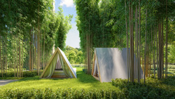 Sora (D22), Apartment #440581561